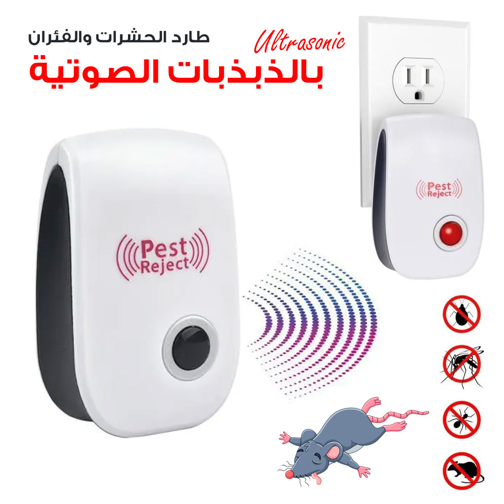 صورة 2