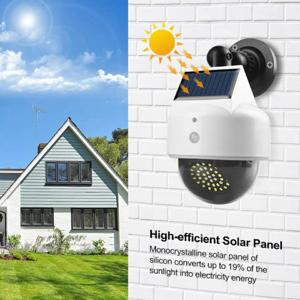 صورة 3