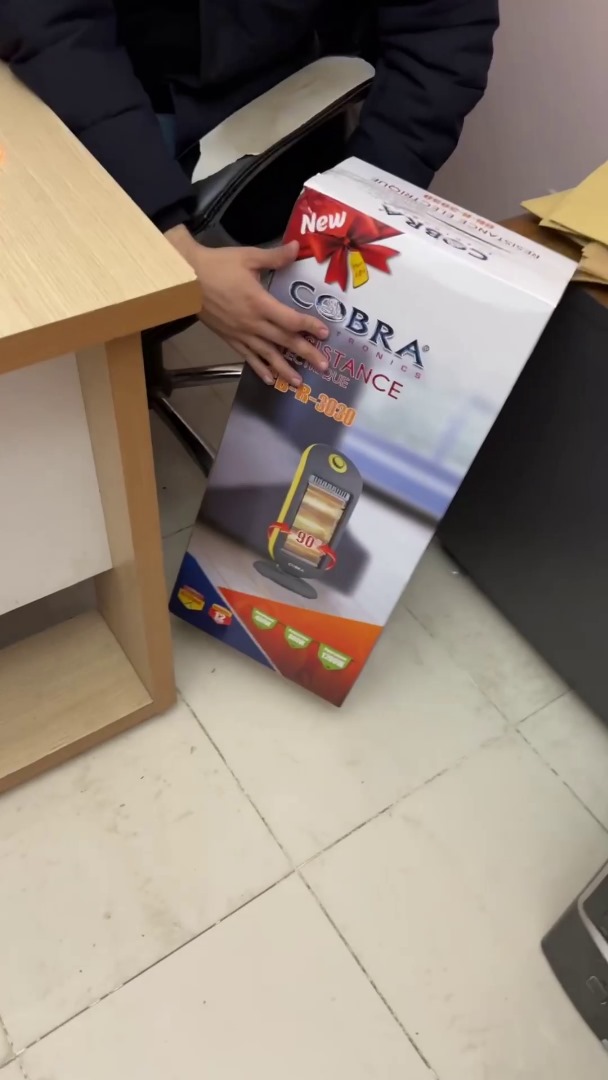 Cobra Chauffage Électrique Économique 3 Résistance 1200W - Maison - صورة حقيقية 4