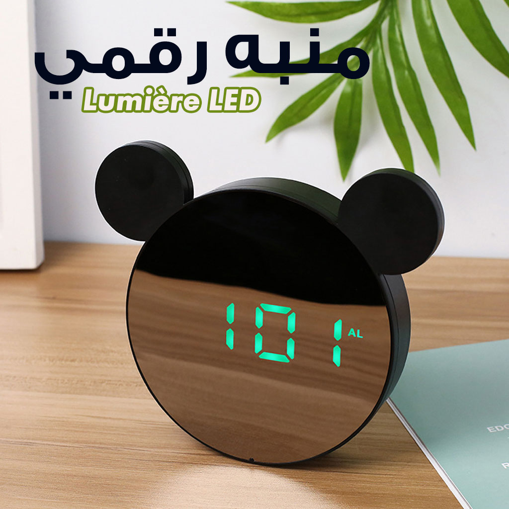 صورة 4