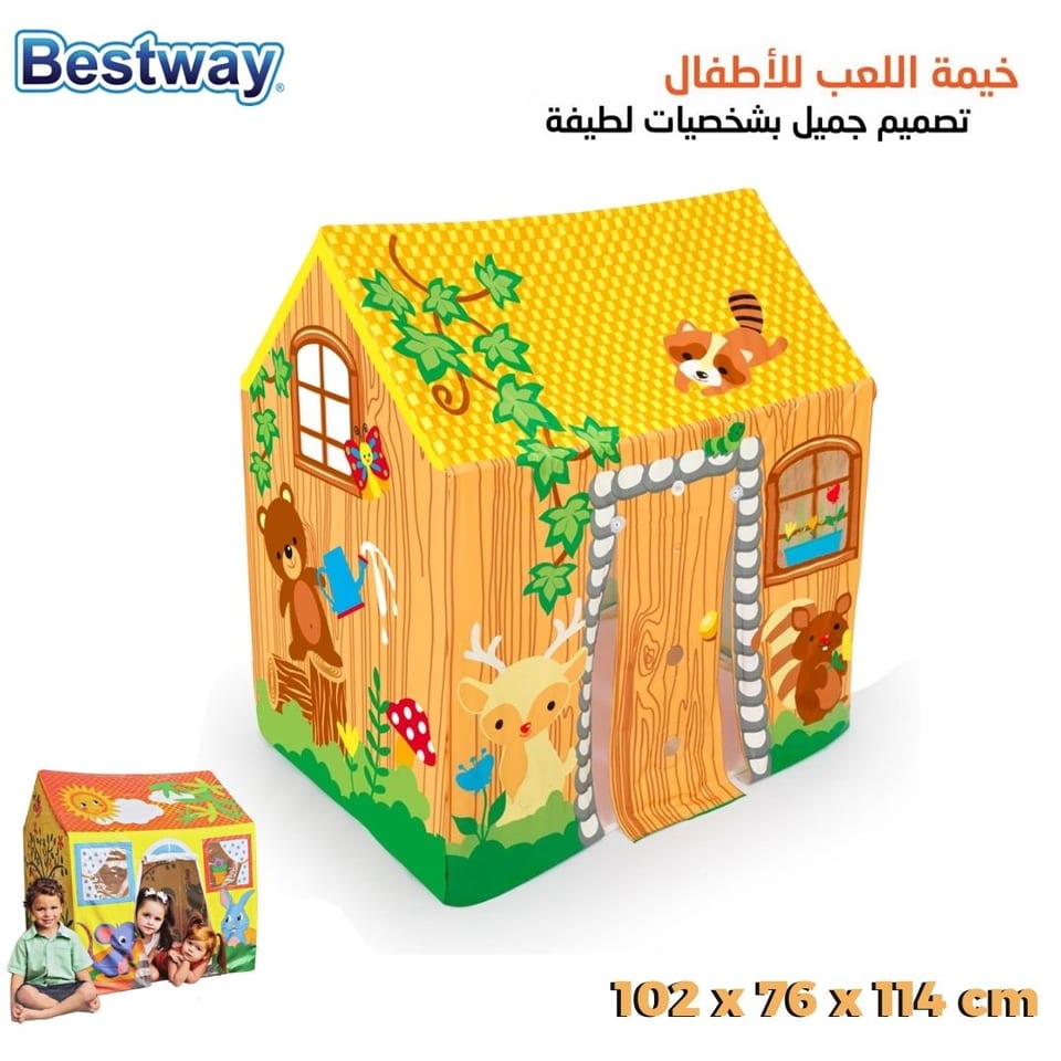 صورة 2
