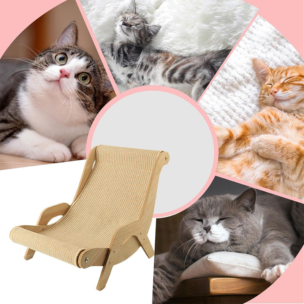 Chaise Longue en Sisal pour Chat et Animaux de Compagnie – كرسي للقط والحيونات الأليفة - Divers - صورة 3