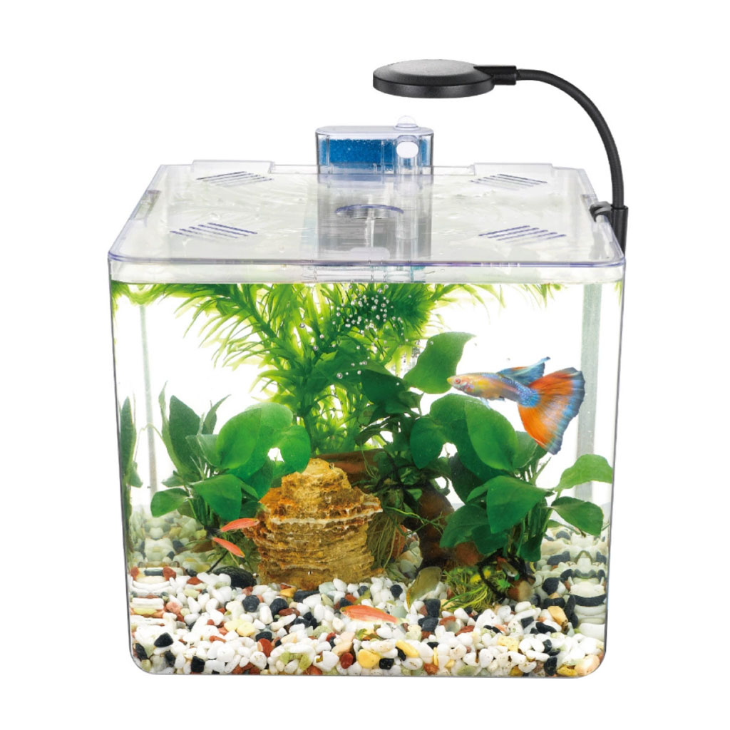Kit mini aquarium nanbor avec système de filtrage et lampe led – حوض أسماك مع مصباح - Décoration - صورة 4