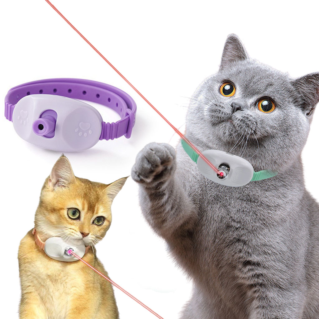 Collier Laser LED un Jouet Interactif pour Chat – سوار ليزر للقطط - Divers - صورة 1
