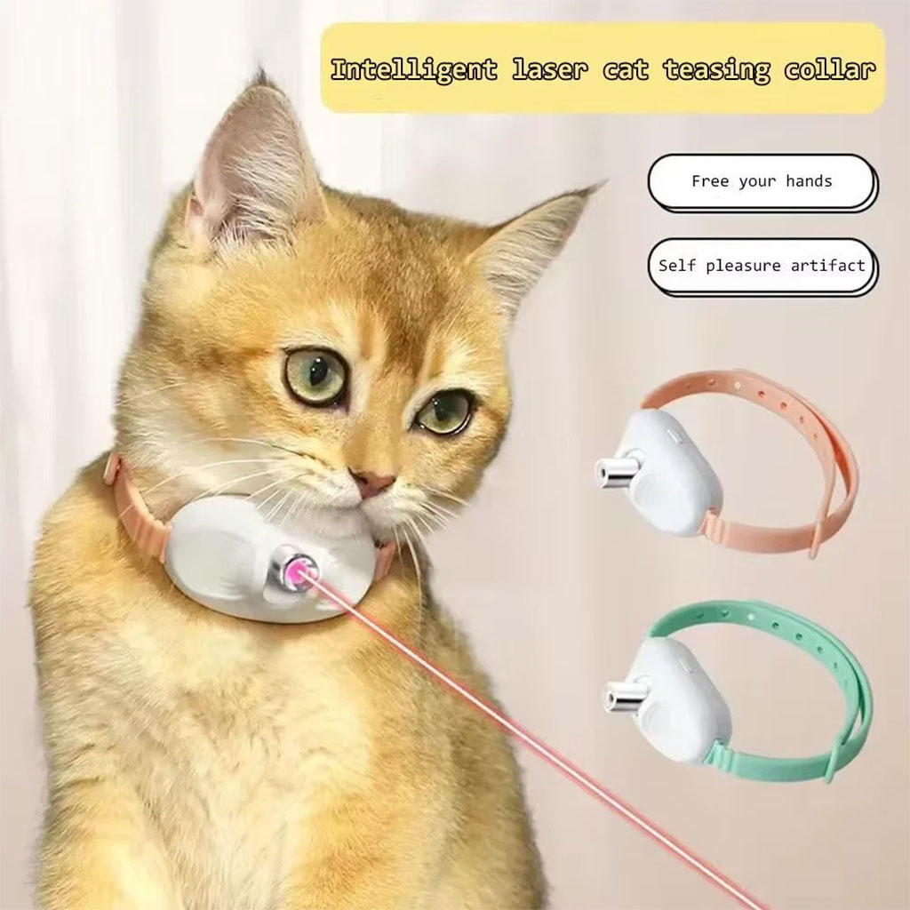 Collier Laser LED un Jouet Interactif pour Chat – سوار ليزر للقطط - Divers - صورة 2